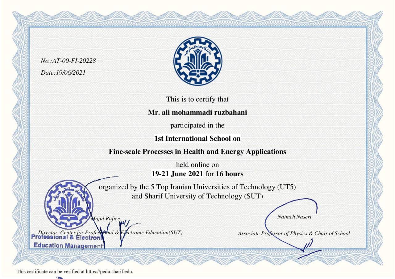 Certificate for the 1st International School on Fine-scale Processes in Health and Energy Applications